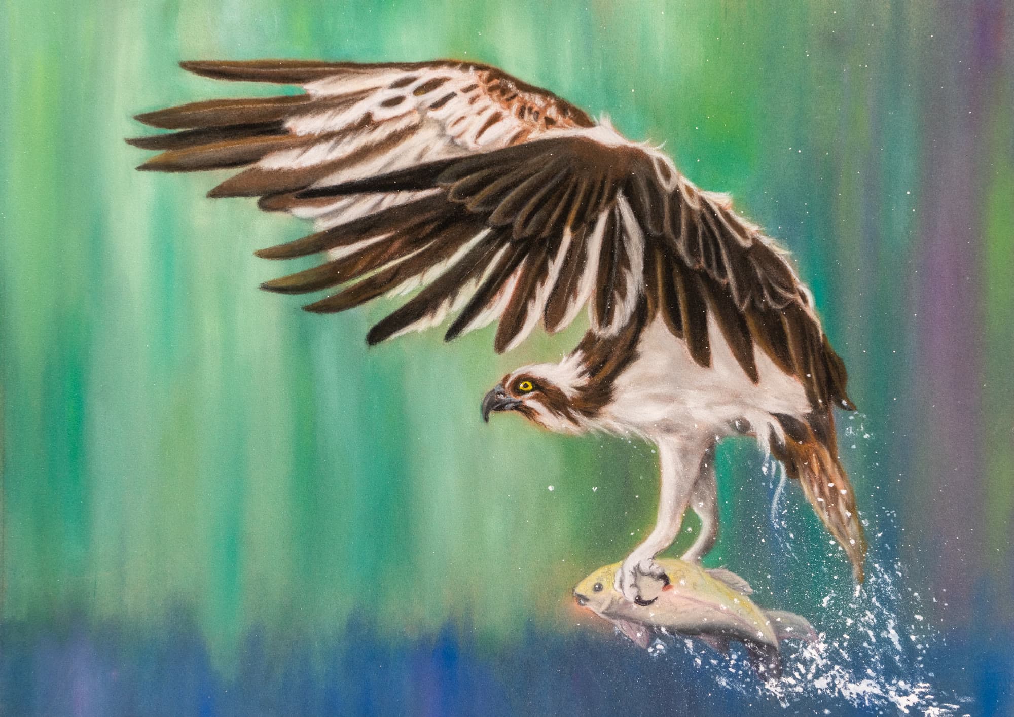 12, artwork by Penny Albright
