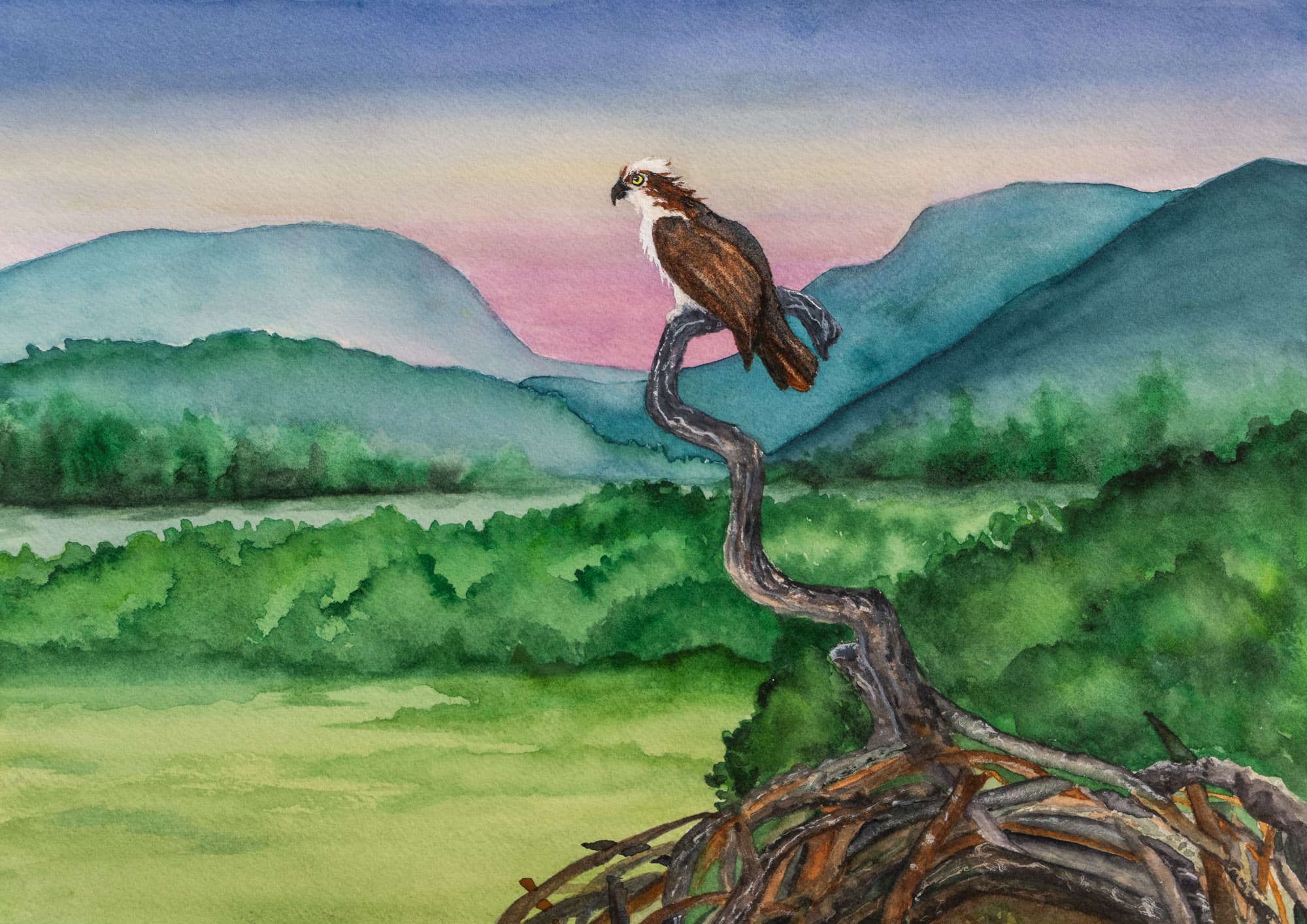 15, artwork by Penny Albright
