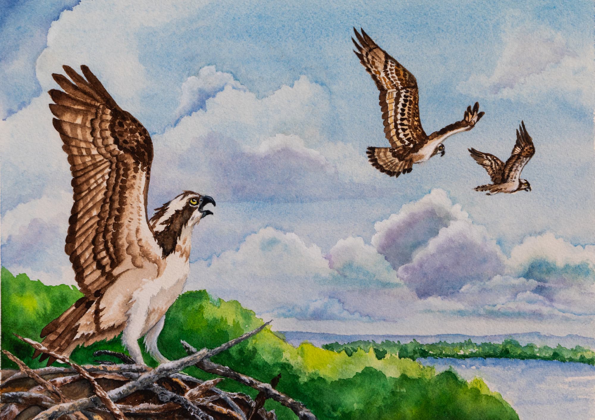 19, artwork by Penny Albright