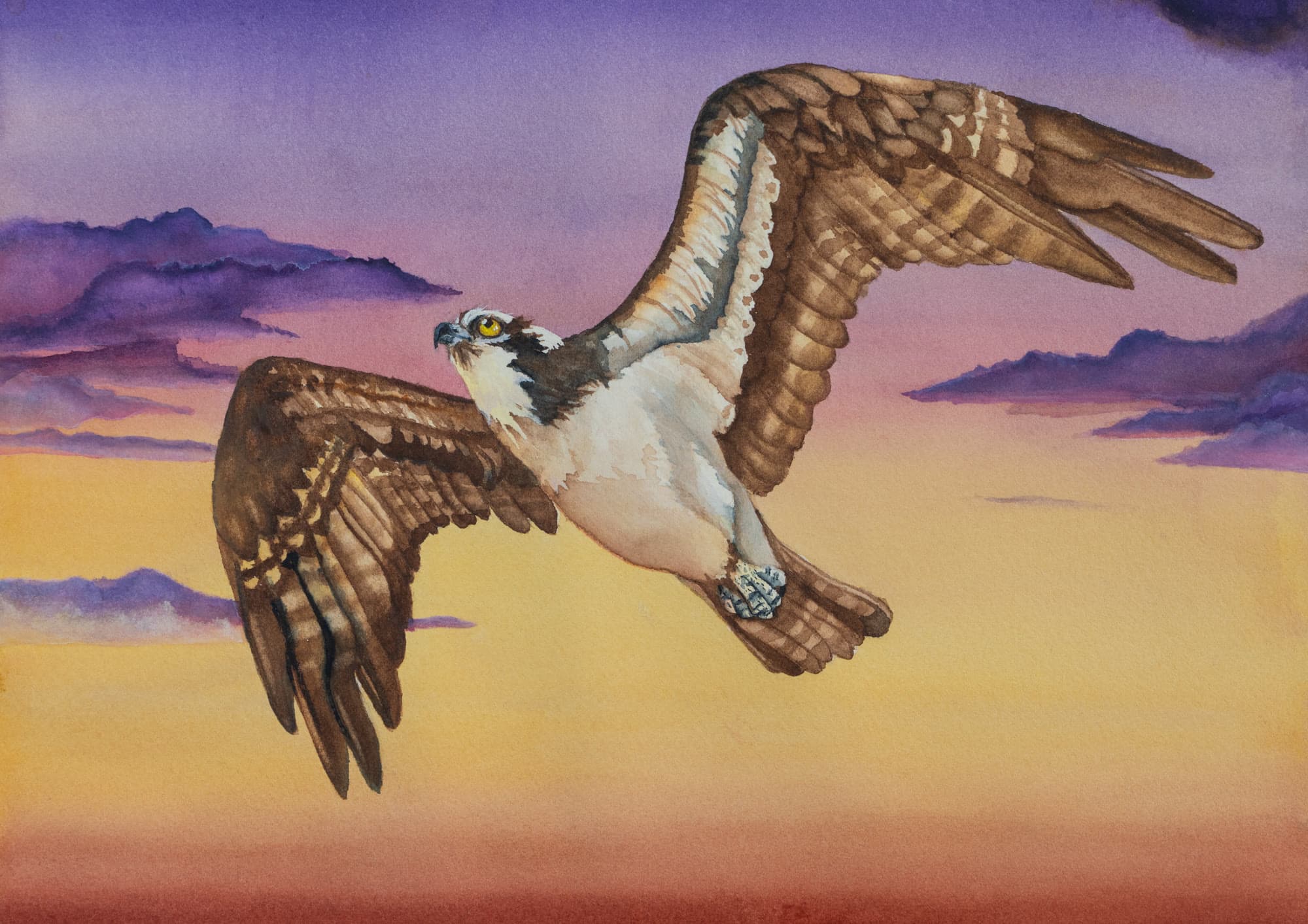 21, artwork by Penny Albright