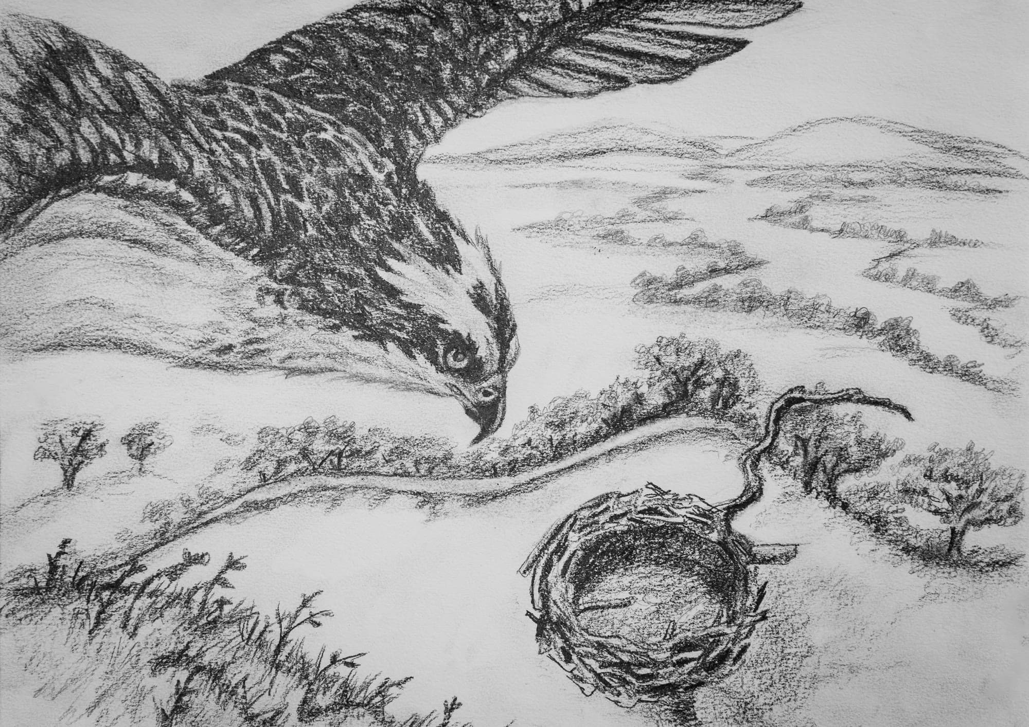 3, artwork by Penny Albright