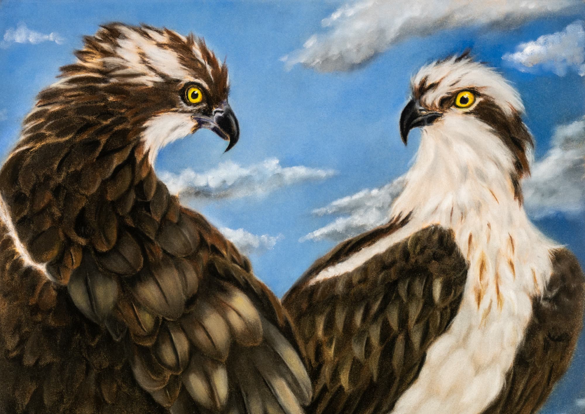 6 A, artwork by Penny Albright